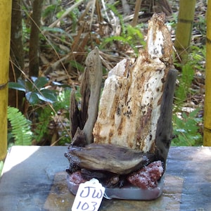 Petrified Wood & Sea Glass Sculpture, Weighted Resin Base Aquarium Safe