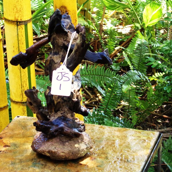 Aquarium Bonsai Tree Etsy