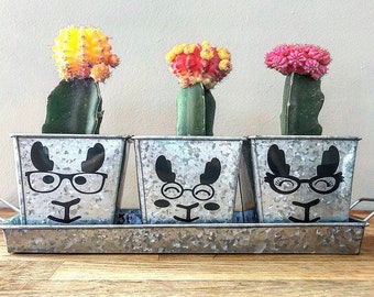 Hipster Llama Family Galvanized Metal Square Herb Pot Set of 3 with Tray