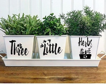 THREE LITTLE HERBS Indoor KItchen Windowsill Herb Garden White Square Metal Pots Set of 3 with Tray