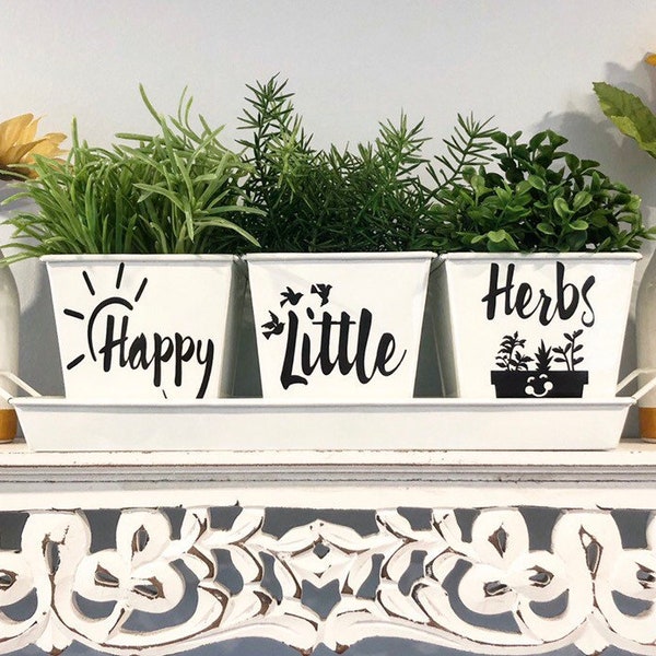 HAPPY LITTLE HERBS Indoor Kitchen Windowsill Herb Garden White Metal Square Pots, Set of 3 with Tray