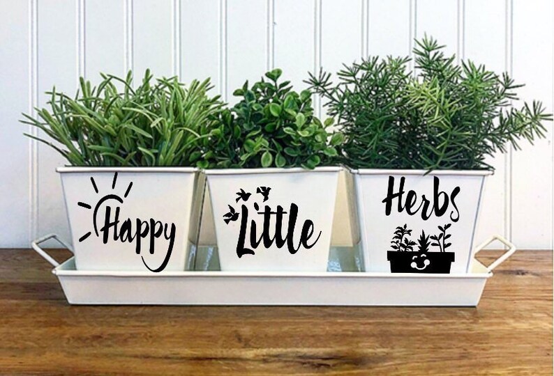 HAPPY LITTLE HERBS Indoor Kitchen Windowsill Herb Garden White Metal Square Pots, Set of 3 with Tray image 4