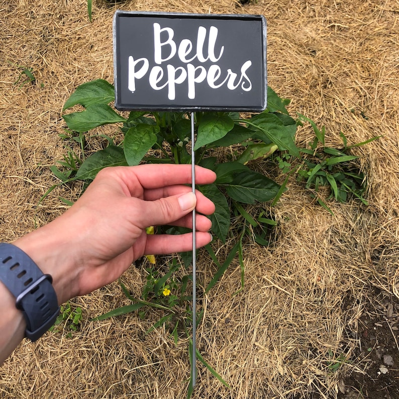 Garden Labels LARGE Set of 3 Choose Your Own Black Metal with Etsy
