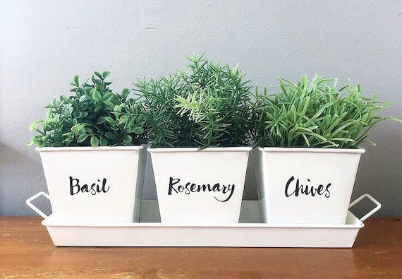 Choose Your Labels Indoor Kitchen Windowsill Herb Planters Etsy