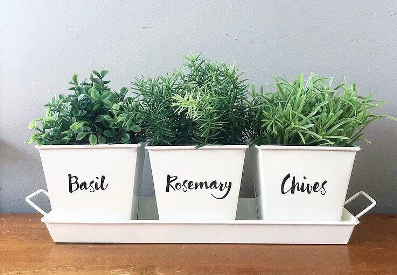 Choose Your Labels Indoor Herb Garden White Metal Square Pots Etsy