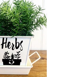 HAPPY LITTLE HERBS Indoor Kitchen Windowsill Herb Garden White Metal Square Pots, Set of 3 with Tray image 7