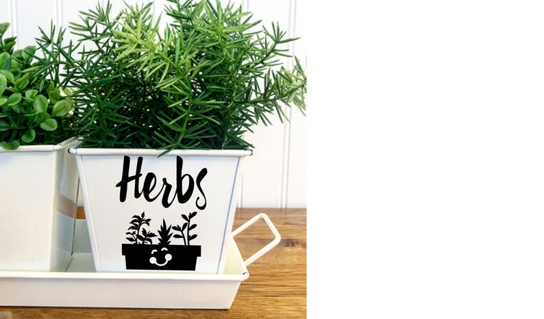 HAPPY LITTLE HERBS Indoor Kitchen Windowsill Herb Garden White Metal Square Pots, Set of 3 with Tray image 7