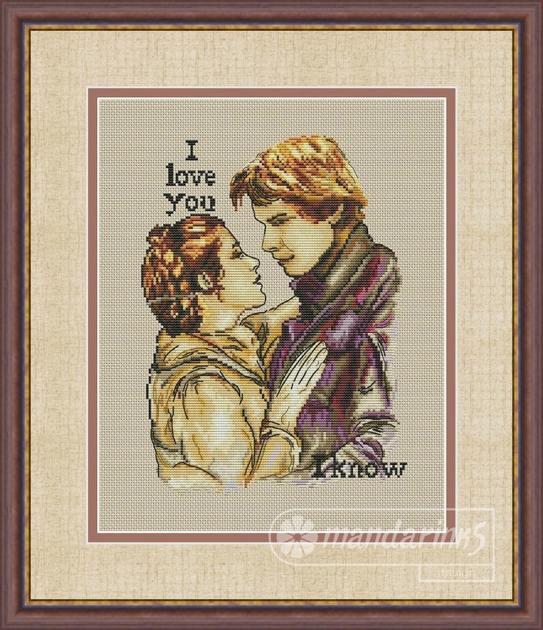 Leia And Han Solo Cross Stitch Pattern DMC Chart Needlepoint Pattern Embroidery Chart Printable PDF Instant Download