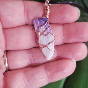 scottish sea shell necklace