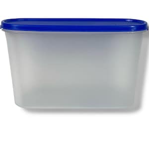 Può includere: Un contenitore rettangolare in plastica traslucida per alimenti con un coperchio blu brillante. Il contenitore ha un design semplice, ideale per conservare vari alimenti. Il coperchio si adatta perfettamente, garantendo la freschezza.