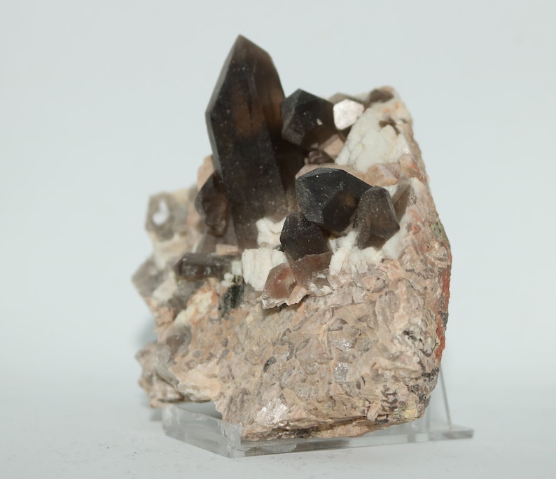 Park county Colorado Smoky quartz with Cleavelandite on Microcline from Lakeview lode