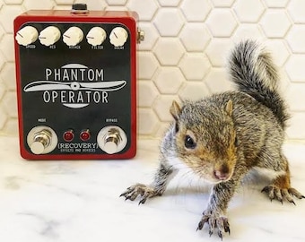 PHANTOM OPERATOR: Supernatural Random Flux Filter Guitar Effects Pedal