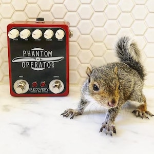 PHANTOM OPERATOR: Supernatural Random Flux Filter Guitar Effects Pedal