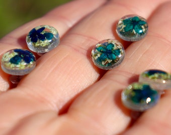 Pressed Blue Elderflower Studs: Botanical Resin Earrings
