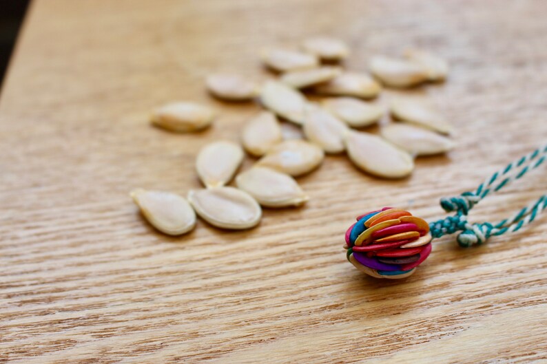 eco ethical fashion Melon Seed Multi Coloured Adjustable Necklace choker ethical sustainable jewellery botanical gift for her him