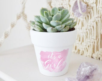 It's a Girl 20-Pack Succulent Pots 2.5" Mini White Terra Cotta Clay Pots Great for Succulents & Cactus, Gender Reveal Baby Shower Favors