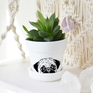 Peeking Pug Succulent Pot with Saucer: Miniature Dog Lover Gift