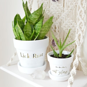 May include: Two white ceramic plant pots with gold lettering. The larger pot has a snake plant and says "Lick Rust". The smaller pot has an aloe plant and says "breathe eat glass".