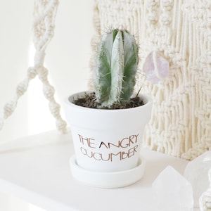 May include: White ceramic planter with the text "The Angry Cucumber" in gold lettering, featuring a green cactus with white spines.