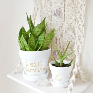 May include: Two white ceramic flower pots with saucers, each holding a green plant. The larger pot has the text "I will survive" in gold lettering, and the smaller pot says "me too."