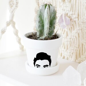 May include: A small, white ceramic pot with a saucer holds a green cactus. The pot features a black graphic of a face. The cactus has sharp spines. The pot is on a white shelf, with a macrame wall hanging in the background.