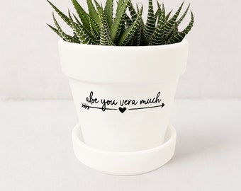 May include: White ceramic planter with a succulent plant and the text "Aloe you vera much" with an arrow and heart.