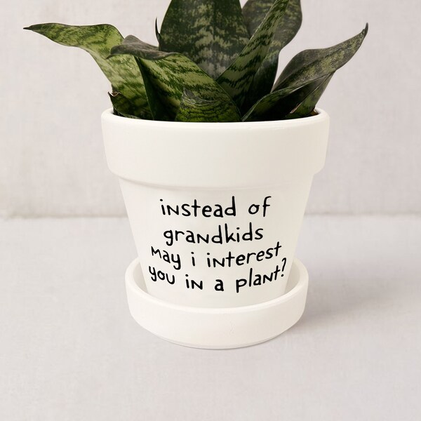 Gift Instead of Flowers 60+ Gift Ideas for 2024