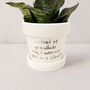 Funny Plant Pot Gift for Mom: Succulent Planter with Saucer
