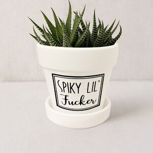 Funny Pun Plant Pot | Spiky Lil' Fucker Planter | Indoor Succulent Pot | White Ceramic Planter w/ Saucer | Plant NOT included (Matte White)