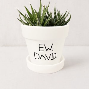 Ew, David Planter: Schitts Creek Inspired Matte White Succulent Pot