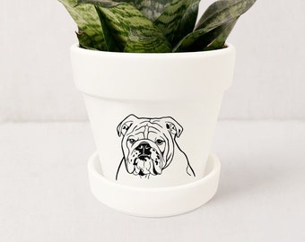 English Bulldog Planter, Bulldog Decor, Dog Lover Gifts, Bull Dog Gifts, Indoor Succulent Plant Pot w/ Saucer | Plants NOT included (White)