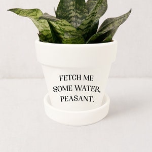 Funny Pots for Plants | Fetch Me Some Water, Peasant Succulent Planter | Indoor Plant Pot w/ Saucer | Plants NOT included (Matte White)