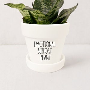 May include: A white ceramic planter with the text "Emotional Support Plant" on the front. The planter contains a green snake plant with variegated leaves.