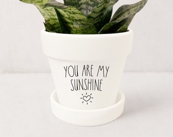 You Are My Sunshine | Funny Pun Plant Pot | Succulent Planter | Gifts for Her | Indoor Planter w/ Saucer | Plants NOT included (Matte White)