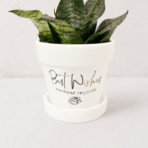 May include: White ceramic planter with a green snake plant and the text "Best Wishes warmest regards" in gold lettering. The planter has a matching saucer.