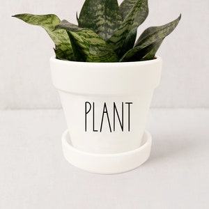 May include: A white ceramic planter with a saucer, labeled "PLANT" in black lettering. The planter contains a green snake plant with variegated leaves.