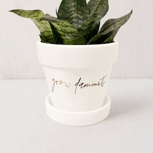 Funny Plant Pun Pot: Matte White Indoor Planter with Saucer
