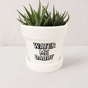 May include: White ceramic planter with a green succulent plant. The planter has the text "WATER ME DADDY" printed on it.