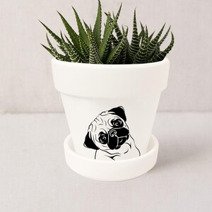 Pug Planter with Saucer: Funny Dog Decor, Succulent Pot