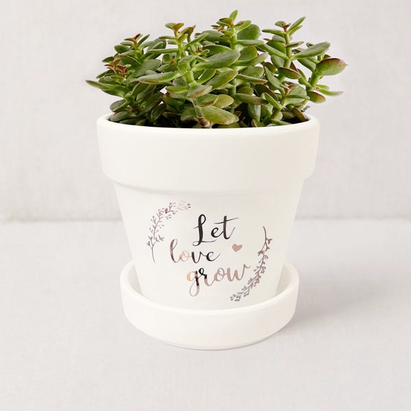 Let Love Grow Plant Pot | Plant Lover Gift | White Succulent Pot Indoor Planter w/ Saucer | Wedding Decor | Plant NOT included (Matte White)