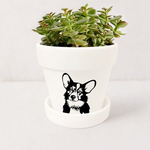 May include: White ceramic planter with a black silhouette of a corgi dog. The planter has a saucer and is filled with a green succulent plant.