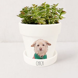 Jardinière personnalisée pour animaux de compagnie Portrait de chien Cadeaux personnalisés pour les amoureux des chiens Pot pour plante grasse avec soucoupe Plantes NON incluses Blanc image 6