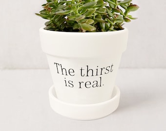 Funny Pun Pots for Plants | The Thirst is Real | Succulent Planter Indoor White Ceramic Planter w/ Saucer | Plant NOT included (Matte White)