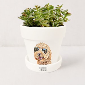 Pet Portrait Custom Planter | Dog Portrait | Personalized Gifts for Dog Lovers | Succulent Plant Pot w/ Saucer | Plants NOT included (White)