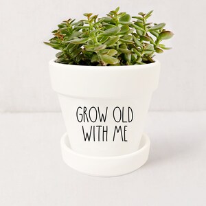 May include: White ceramic planter with a succulent plant and the text "Grow Old With Me" on the front.
