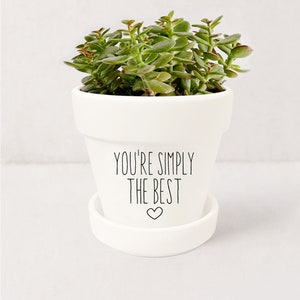 May include: White ceramic planter with a succulent plant and the text "You're simply the best" with a heart symbol.