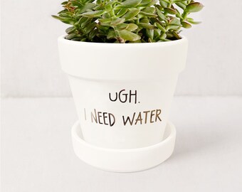 Funny Pun Plant Pot | Ugh. I Need Water | Succulent Planter Indoor | Ceramic Planter w/ Saucer Succulent Gift | Plant NOT included (White)
