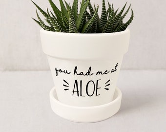 May include: White ceramic planter with a green succulent plant. The planter has the text "you had me at =ALOE=" written on it.
