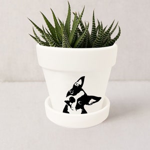 Boston Terrier Planter, Boston Terrier Gifts, Dog Lover Gifts, Boston Terrier Indoor Succulent Pot w/ Saucer | Plants NOT included (White)