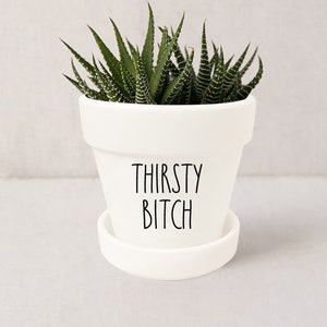 May include: A white ceramic flower pot with a saucer, containing a green succulent plant. The pot has the words "THIRSTY BITCH" in black lettering. The plant has green leaves with white spots.